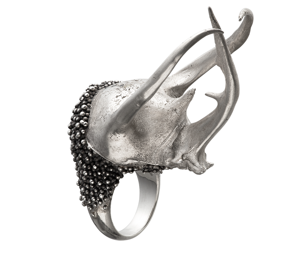 A massive sterling silver ring made from the cast of a giant Atlas beetle's head. The ring looks like an ancient samurai helmet and is set with blue annd yellow sapphires. Handmade by Violette Stehli