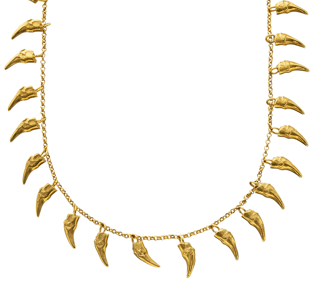 A close-up of a  delicate gold vermeil necklace cast from the teeth of a cat. The necklace is on a rolo-link chain. Made by Violette Stehli using the lost wax casting technique.