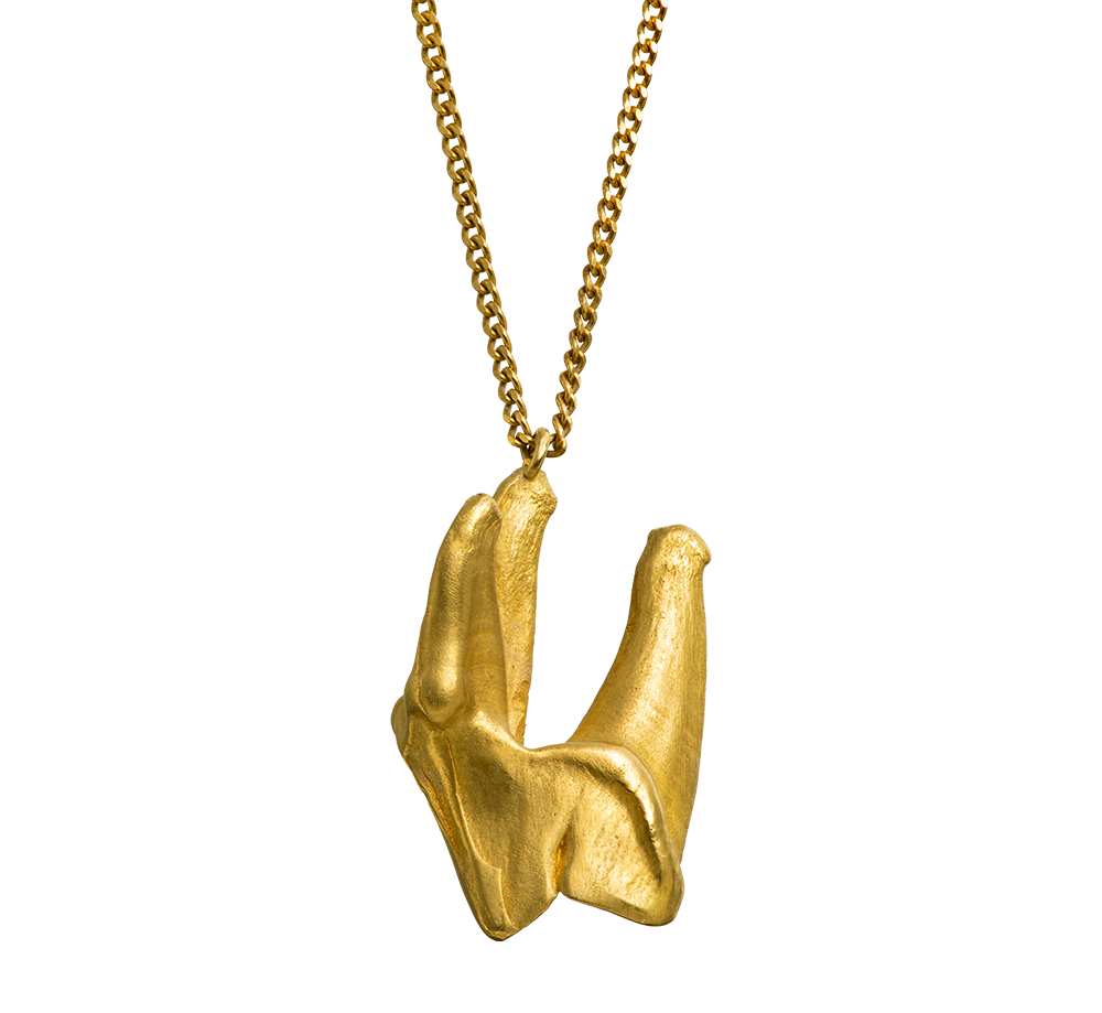 18-karat gold pendant charm cast from a wolf's tooth on a rolo-link chain. Handmade by Violette Stehli.