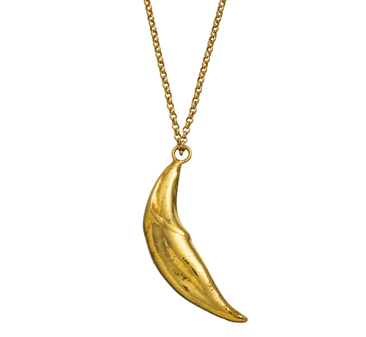 A Responsible Jewellery Council certified 18-karat gold pendant cast from a coyote tooth. Handmade using the lost-wax casting technique.