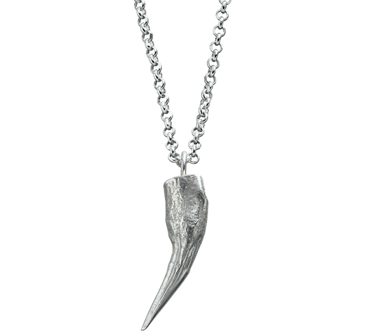 A sterling silver pendant charm cast from a pike tooth using the lost wax casting technique. The pendant is on a rolo-link chain.