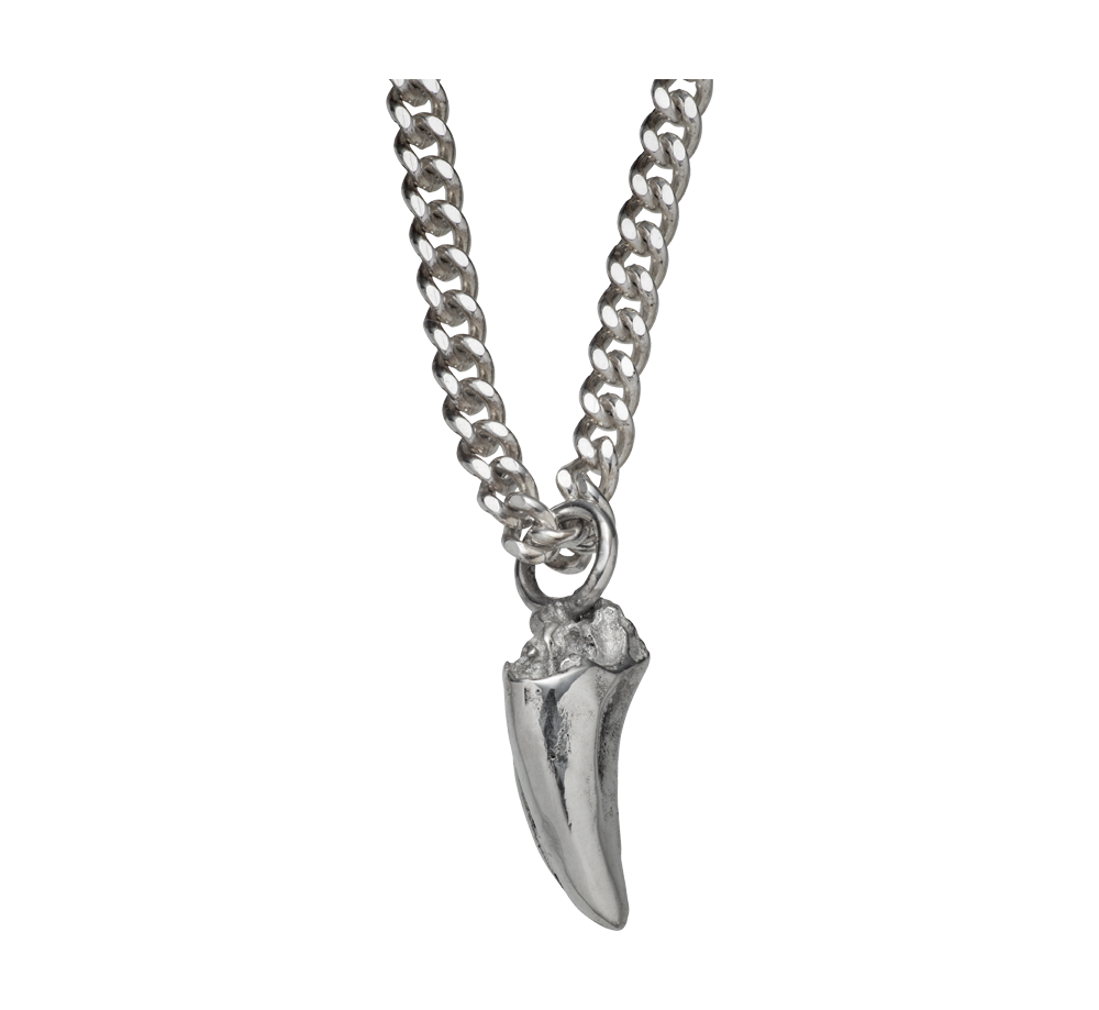 A delicate and small sterling silver pendant cast from a cats tooth using the lost wax casting technique on a curb-link chain.