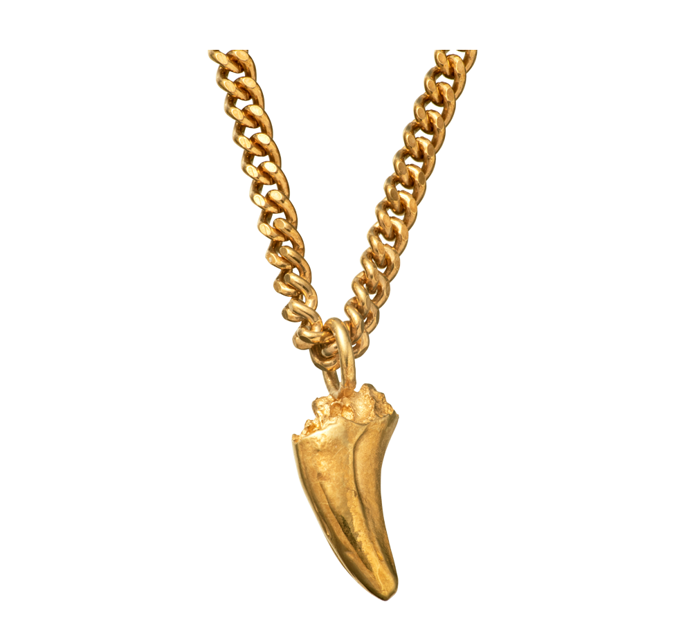 A delicate and small 18-karat gold pendant cast from a cats tooth using the lost wax casting technique on a curb-link chain.